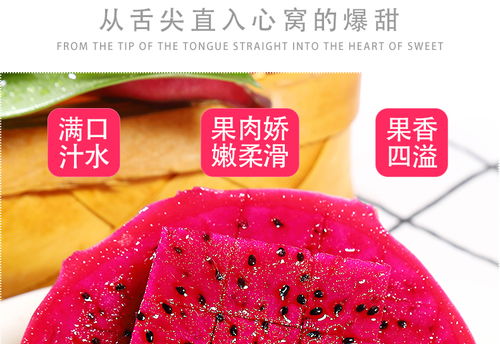 金都一號蜜寶紅心火龍果 現(xiàn)摘新鮮，甜蜜直達
