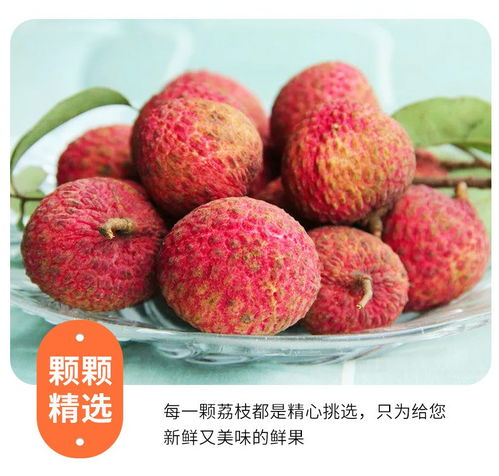 高州白糖罌荔枝 當季鮮果，滋味直達——5斤裝整箱批發(fā)品鑒