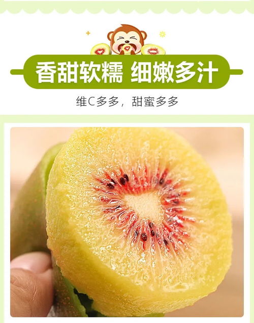 四川紅心獼猴桃 產(chǎn)地直供，新鮮水果，專屬特色上頂?shù)谋ｕr體驗